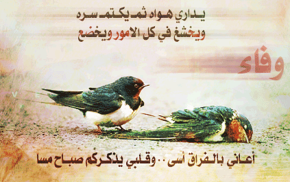 MO3ANATI     ANA